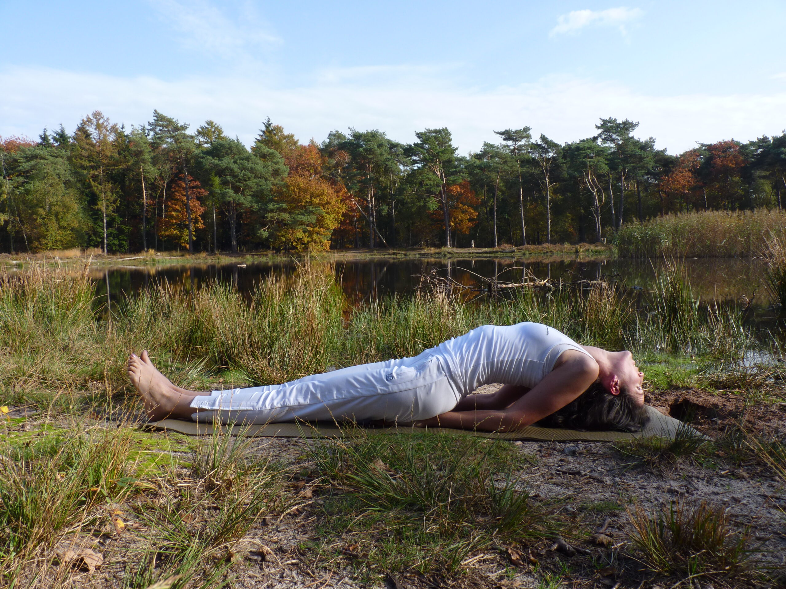 14+ Matsyasana Quotes Yoga Poses