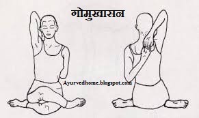 16+ Gomukhasana Ke Fayde 16+ Gomukhasana Ke Fayde