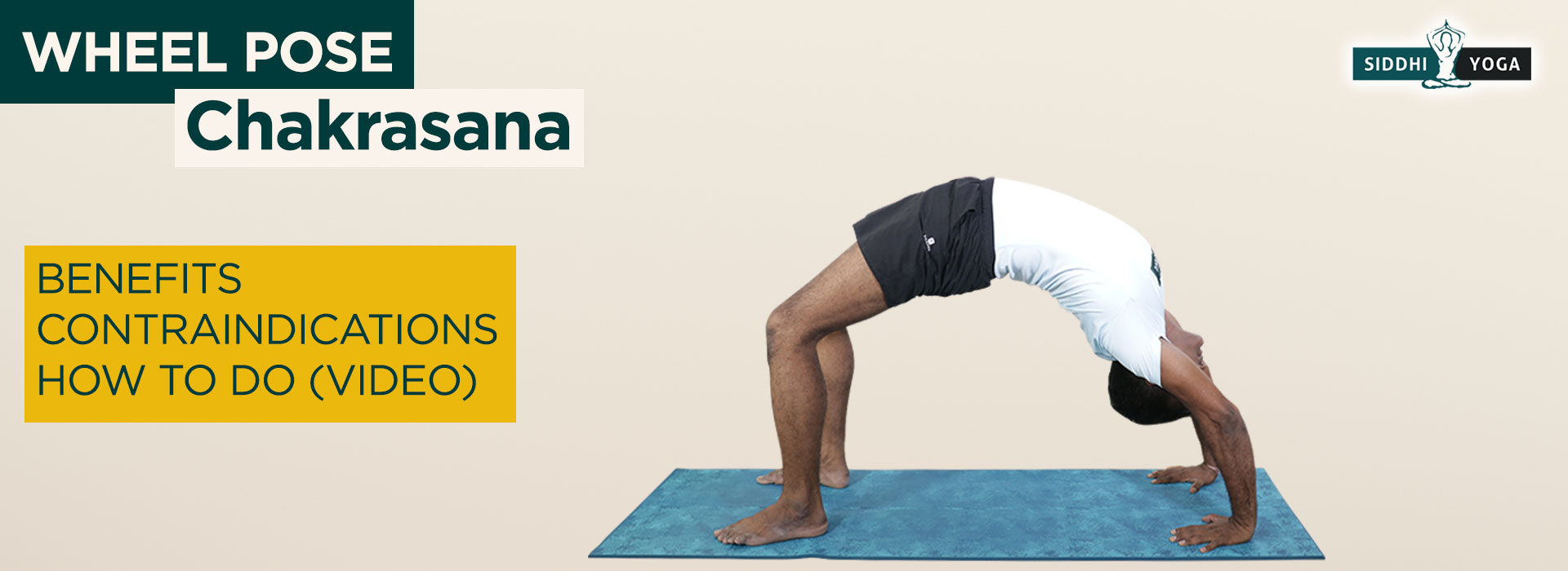 16+ Teaching Urdhva Dhanurasana Yoga Poses