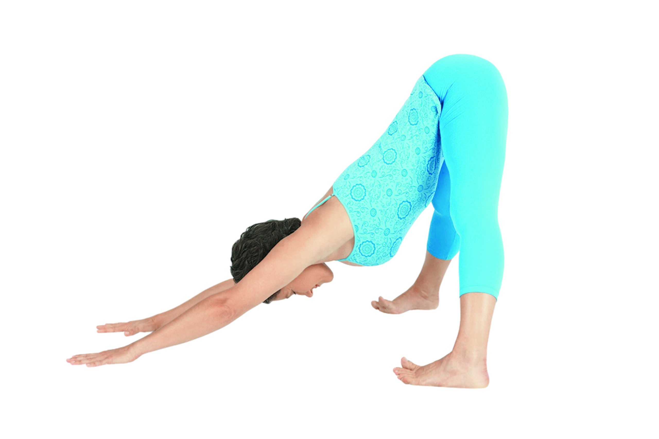 14+ Prasarita Padottanasana En Francais Yoga Poses