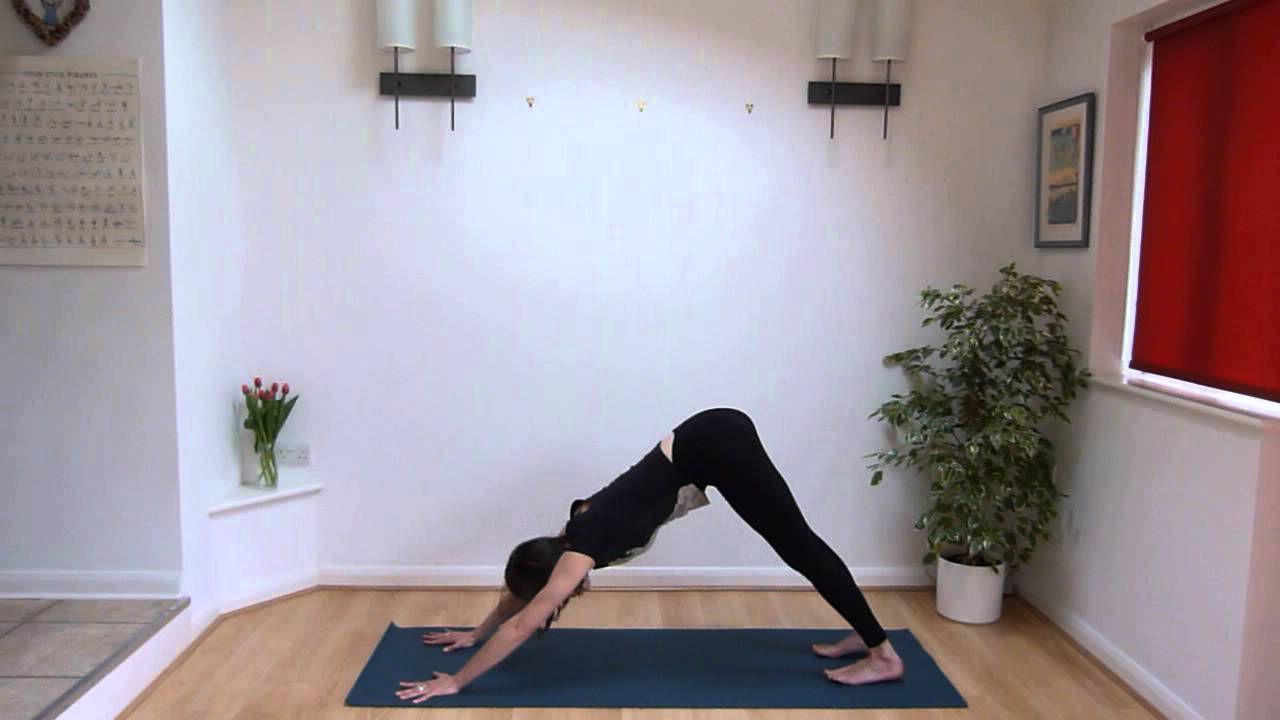 14+ Dandasana In Surya Namaskar Yoga Poses
