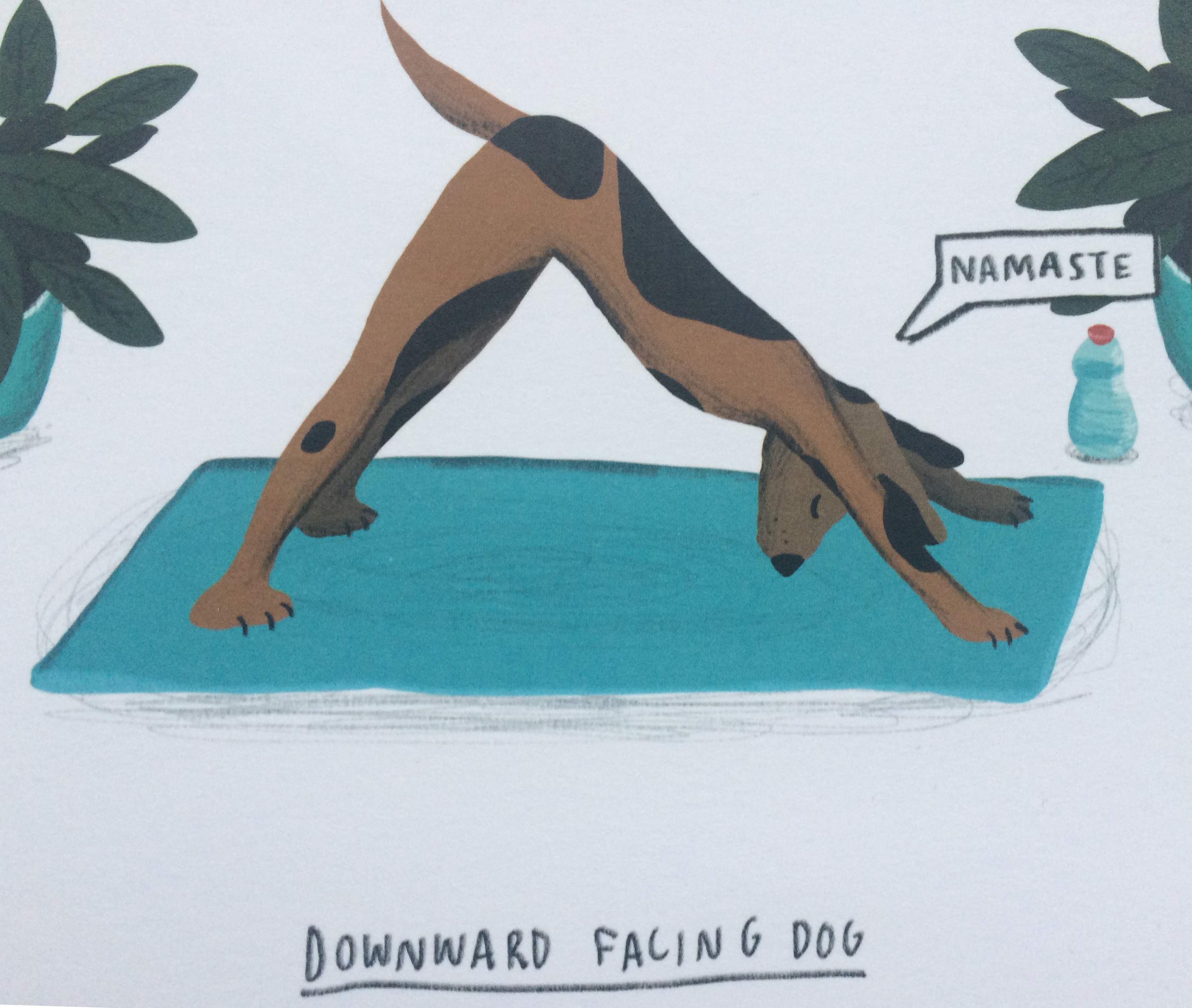 16+ Downward Facing Dog Moe Yoga Poses